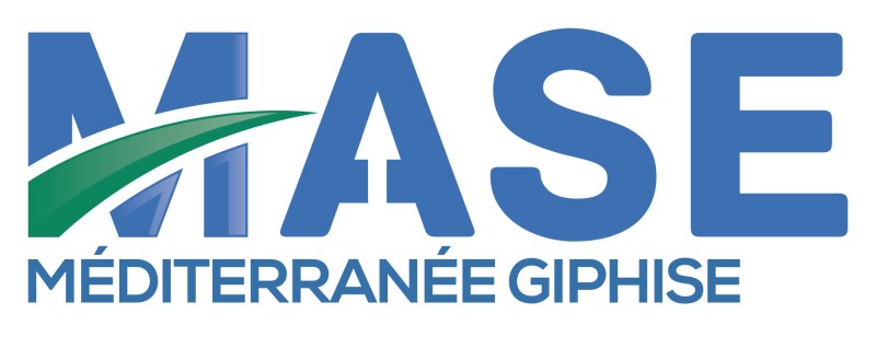 logo GIPHISE